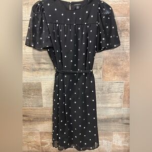 Ann Taylor Chiffon Embroidered Flower Dress